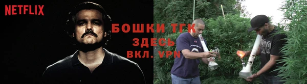 ГАЛЛЮЦИНОГЕННЫЕ ГРИБЫ Лабытнанги