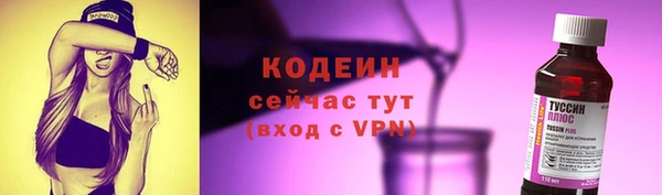 индика Магас