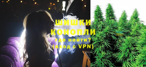индика Магас