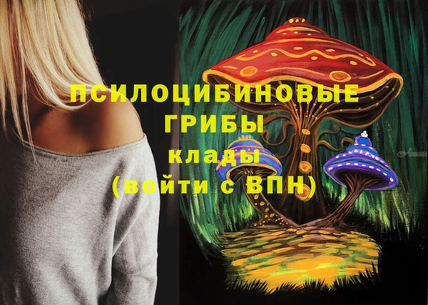 индика Магас