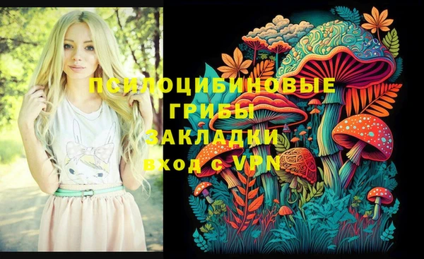 метамфетамин Липки