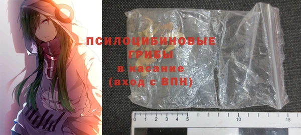 индика Магас