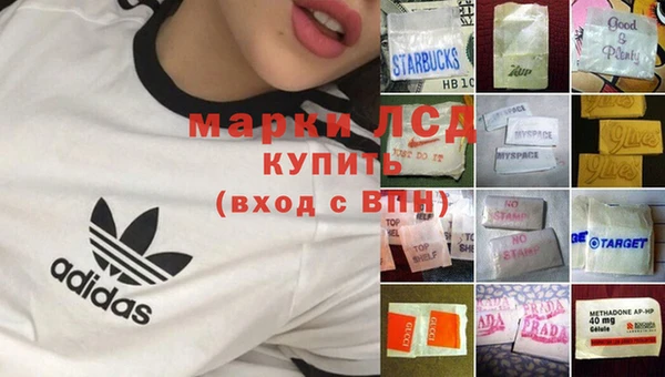 ПСИЛОЦИБИНОВЫЕ ГРИБЫ Лиски
