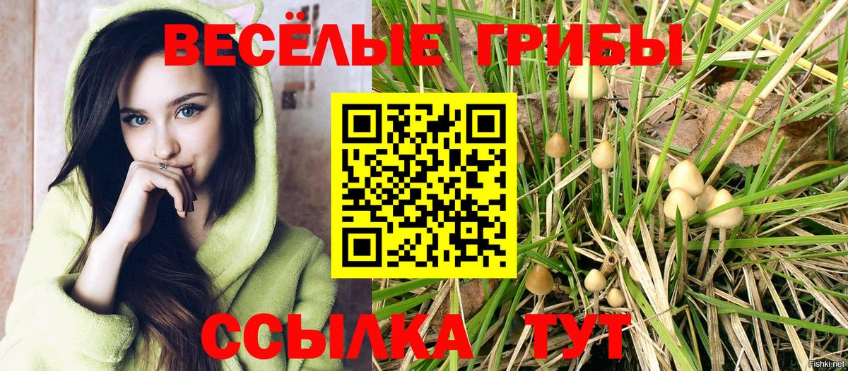 Красноуфимск  Галлюциногенные грибы Cubensis  Галлюциногенные грибы мицелий  Вход с VPN 